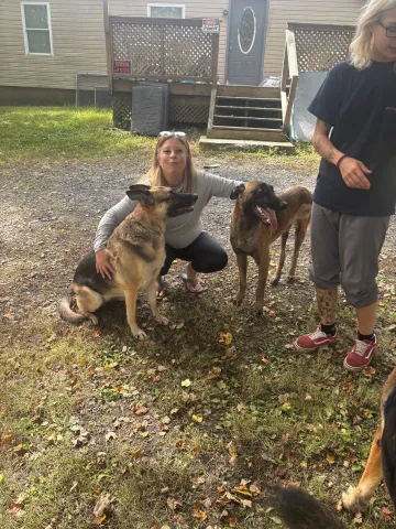 Tara and some pups